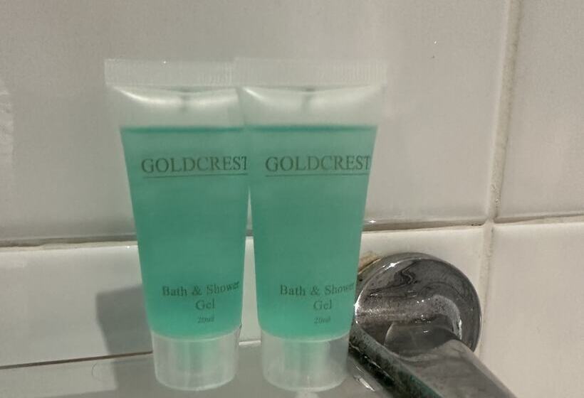 标准单人间, The Brent Hotel London Wembley