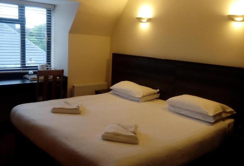 豪华房间, The Brent Hotel London Wembley