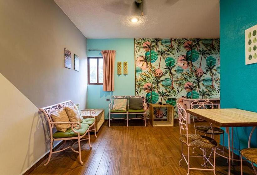 اتاق استاندارد چهار تخته, All Riviera