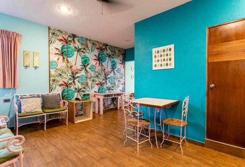 اتاق استاندارد چهار تخته, All Riviera