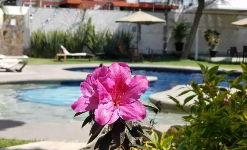 اتاق اجرایی, Casa Francisco