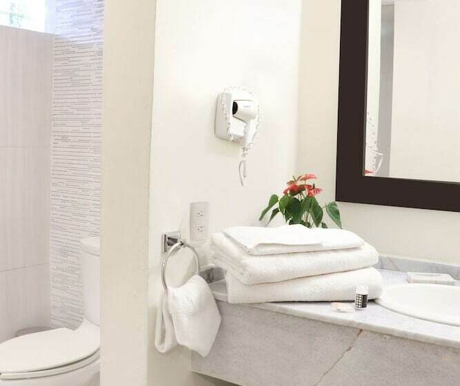 高级大房间, Casa Francisco