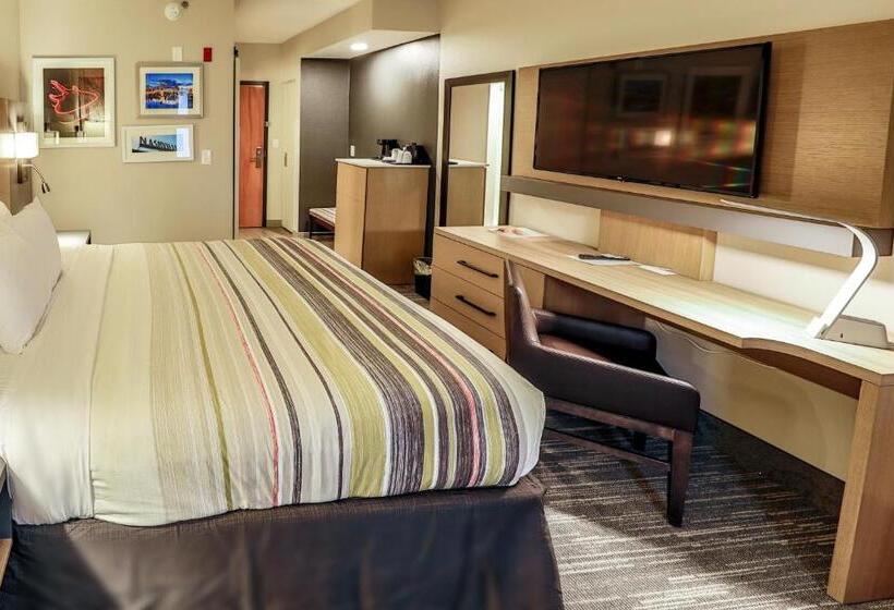 Standard-huone King-vuode, Country Inn & Suites By Radisson, Nashville Airport, Tn