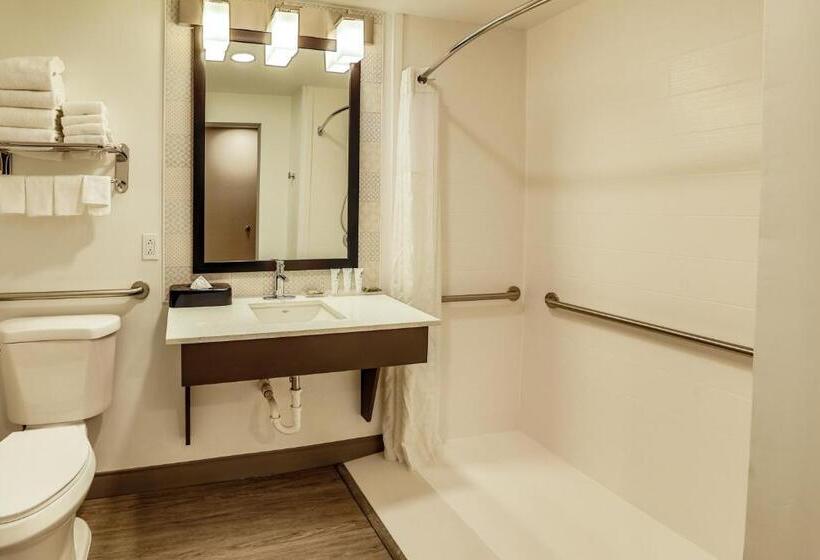 장애인을 위한 스위트, Country Inn & Suites By Radisson, Nashville Airport, Tn