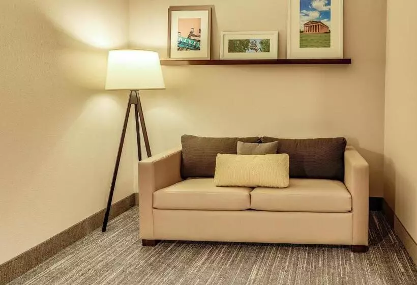 Deluxe Suite King Bed, Country Inn & Suites By Radisson, Nashville Airport, Tn