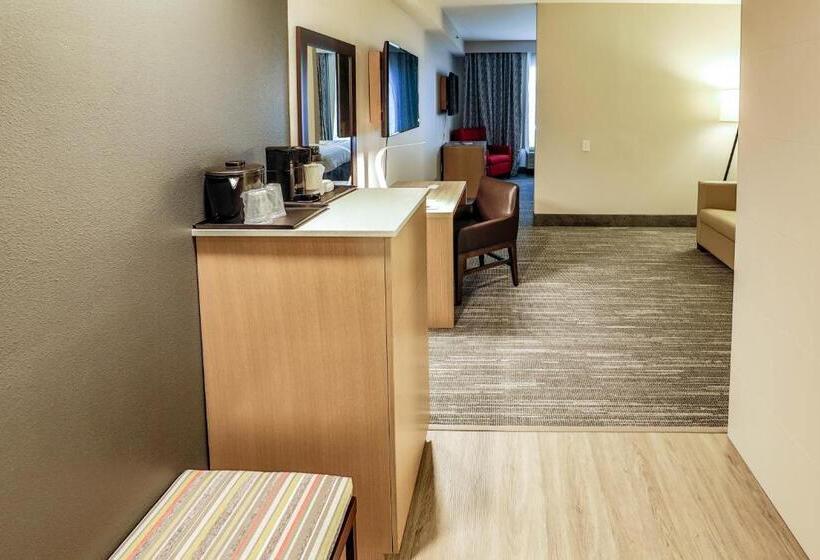 디럭스 스위트 킹 침대, Country Inn & Suites By Radisson, Nashville Airport, Tn