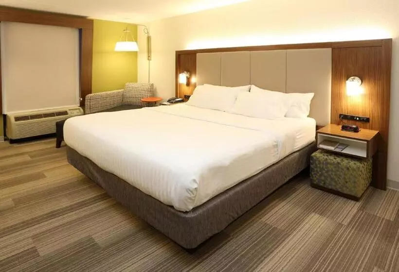 اتاق استاندارد با تخت بزرگ, Holiday Inn Express & Suites Newport News, An Ihg