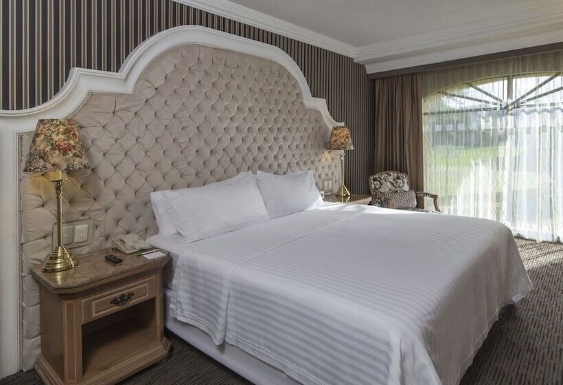 سوییت, Holiday Inn Queretaro Centro Historico, An Ihg