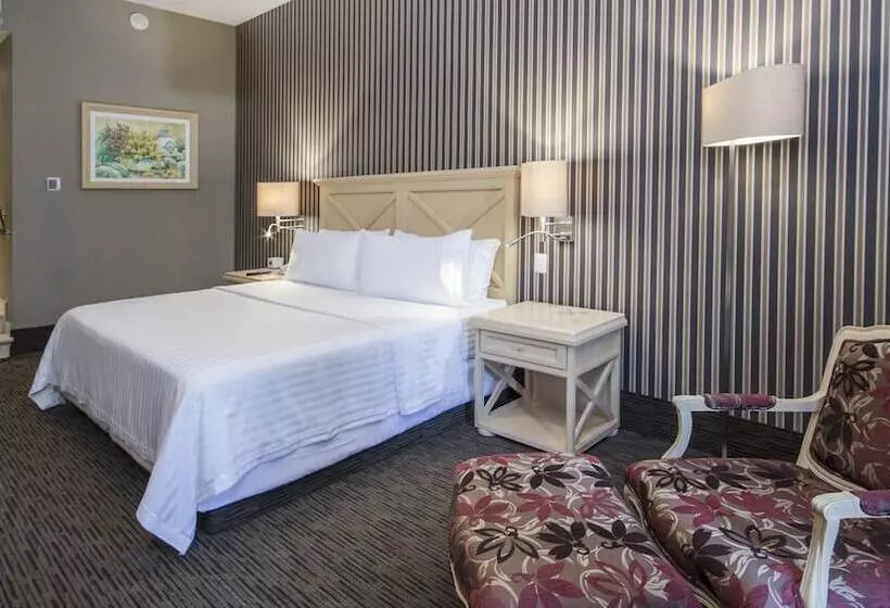 Standard-huone, Holiday Inn Queretaro Centro Historico, An Ihg