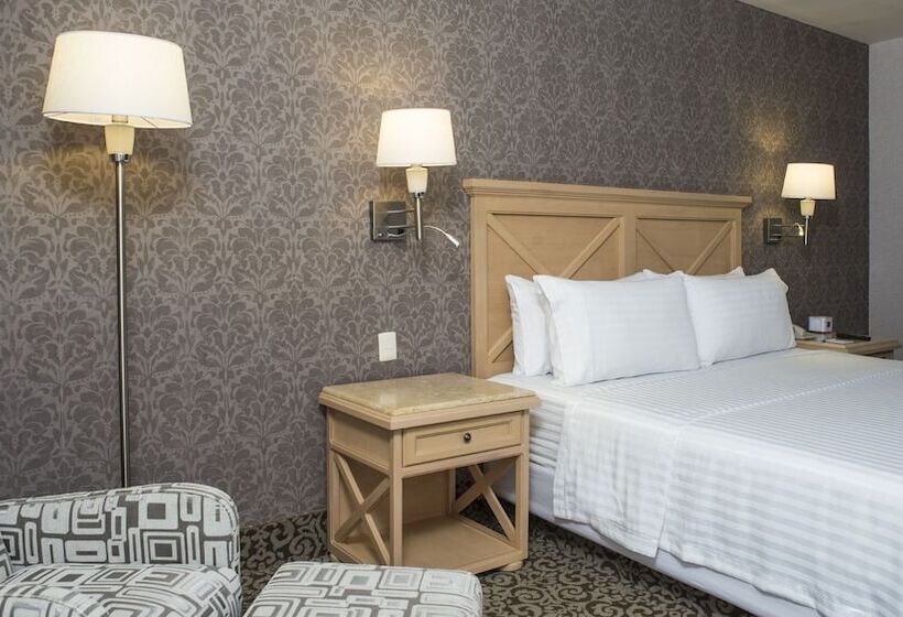 اتاق استاندارد, Holiday Inn Queretaro Centro Historico, An Ihg