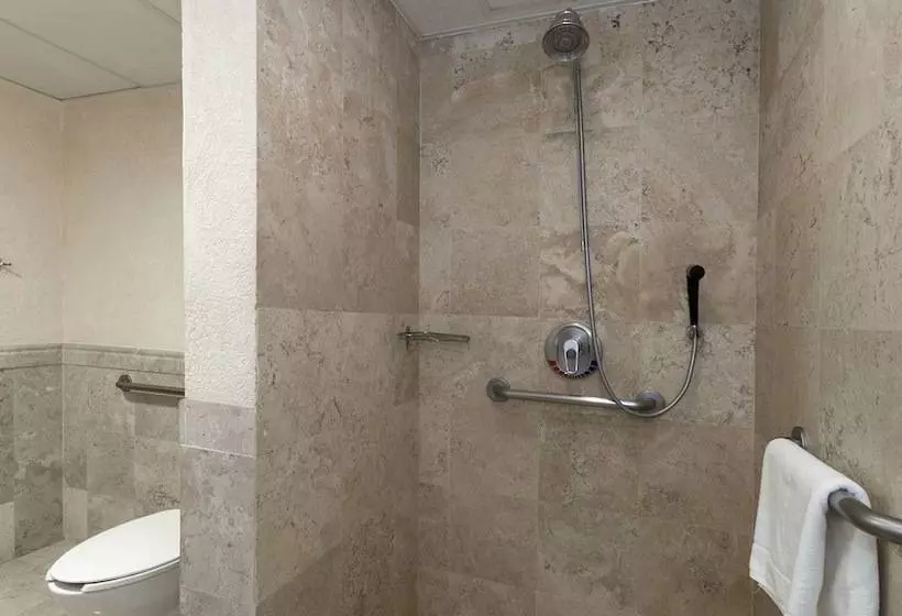 Standard-huone 2 Parivuodetta, Holiday Inn Queretaro Centro Historico, An Ihg