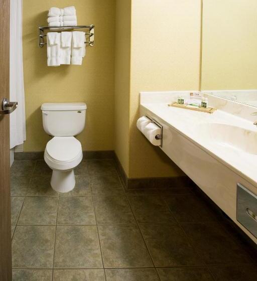 غرفة سوبيريور, Merit Hotel & Suites