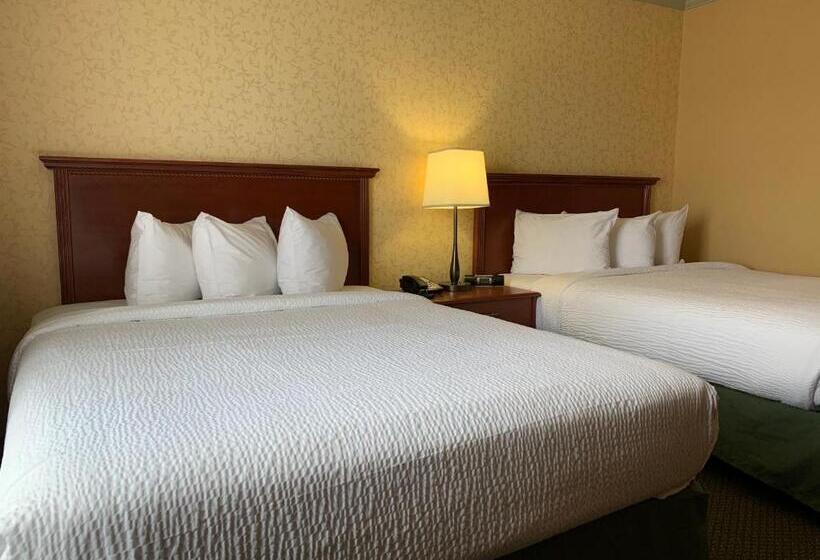 غرفة سوبيريور, Merit Hotel & Suites