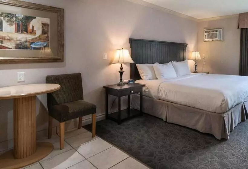 キングサイズベッドのスタンダードルーム, Prestige Inn Nelson