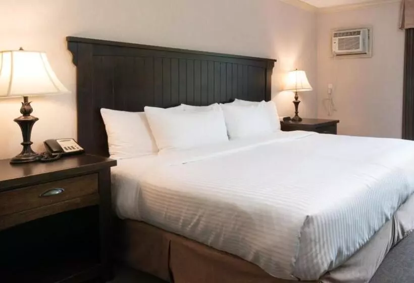 キングサイズベッドのスタンダードルーム, Prestige Inn Nelson