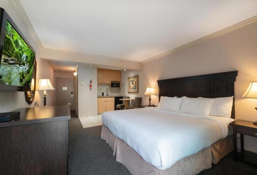 חדר סטנדרט עם מטבח, Prestige Inn Nelson