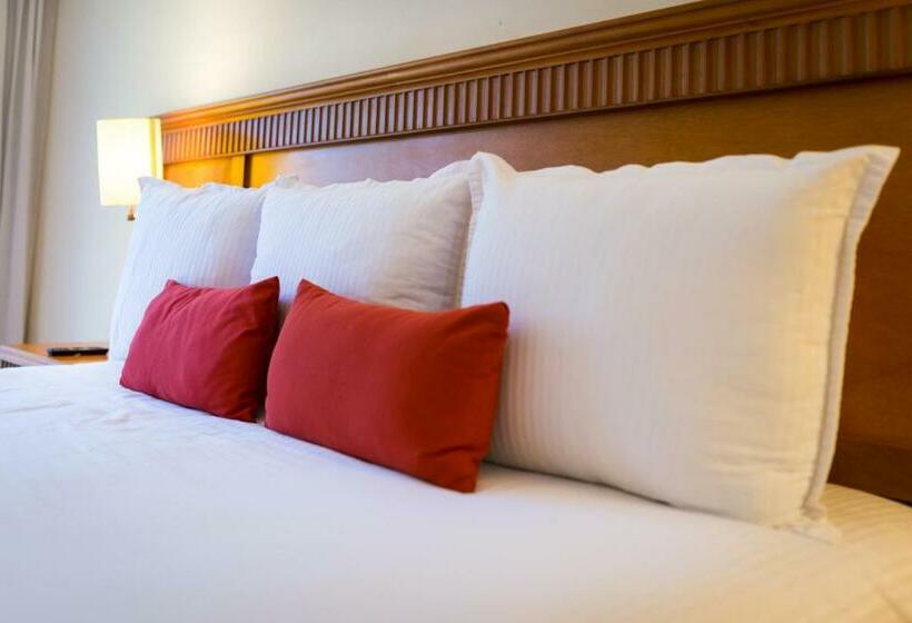 수피리어 룸 풀장 전망, The Reef Coco Beach