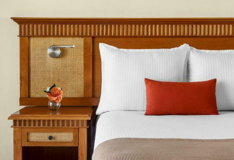 수피리어 룸 풀장 전망, The Reef Coco Beach