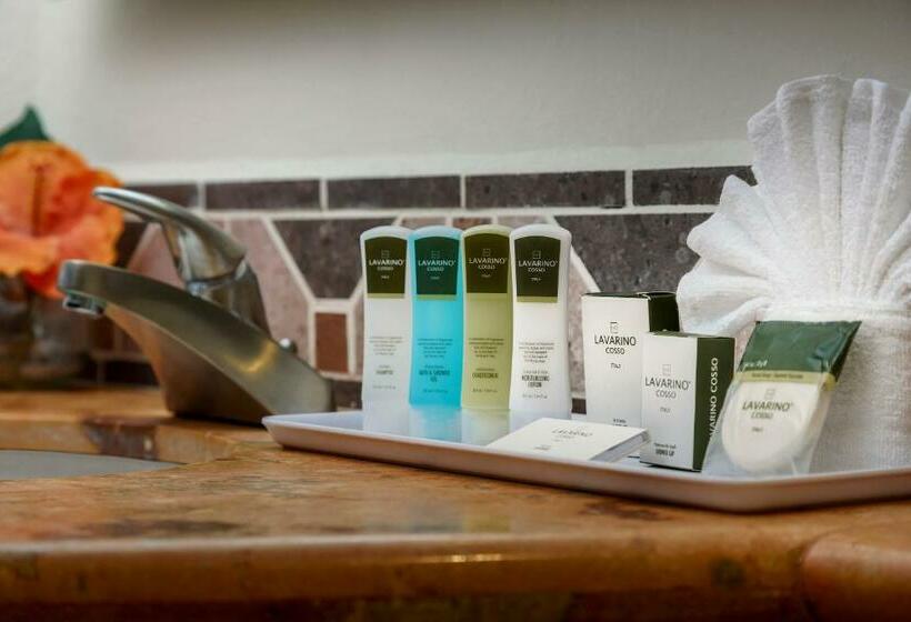 프리미엄 룸, The Reef Coco Beach