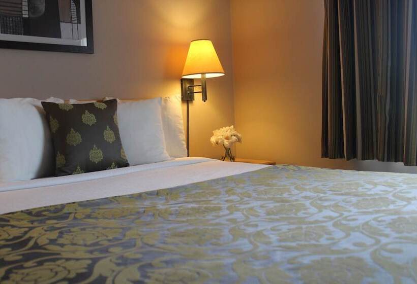 スーペリアールーム, Travelodge By Wyndham Fort Mcmurray