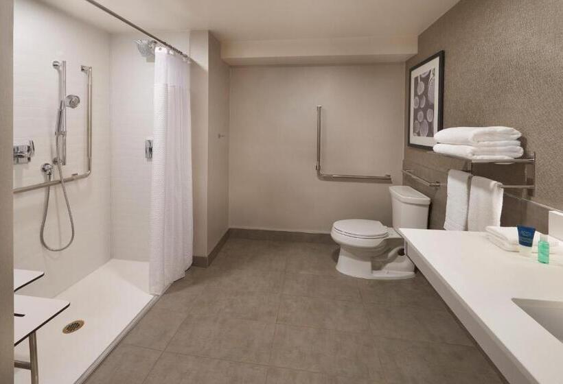 استودیو استاندارد با تخت کینگ, Four Points By Sheraton Vaughan