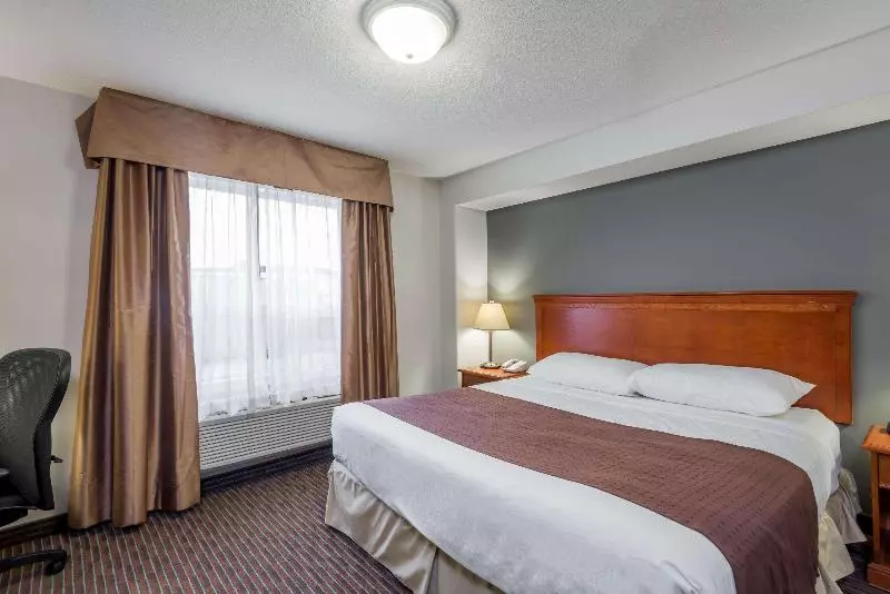 اتاق استاندارد با تخت بزرگ, Super 8 By Wyndham Grande Prairie