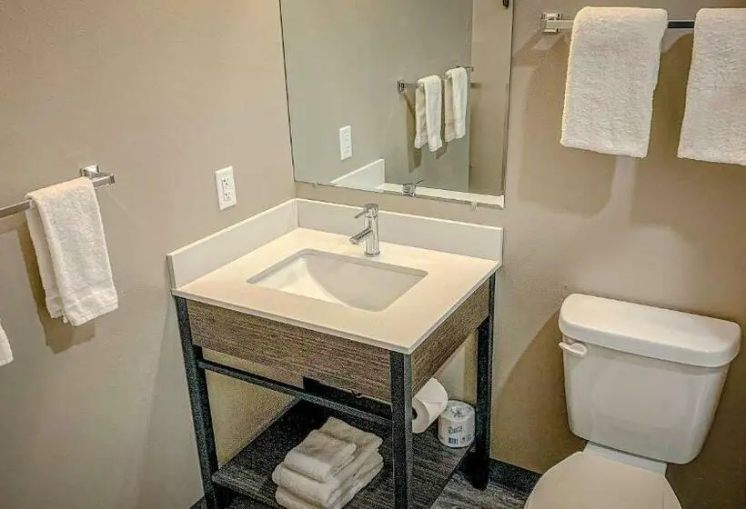 اتاق استاندارد چهار تخته, Studio 6 North Platte East