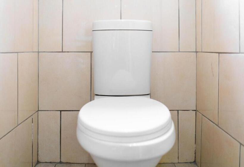 סטודיו דלוקס, Albrine Lodge