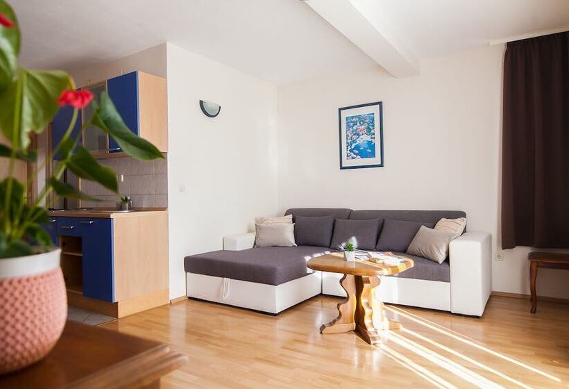 آپارتمان کلاسیک 1 خوابه, Villa Dzamonja