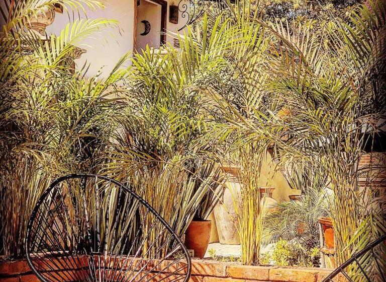 Люкс Deluxe Кровать Кинг, Casa Miura Hotel Boutique