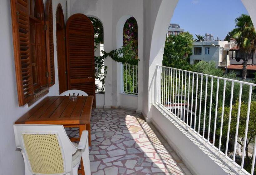 スタンダードスタジオ, Aquarius