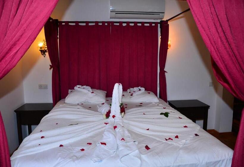 スタンダードルーム, Aquarius