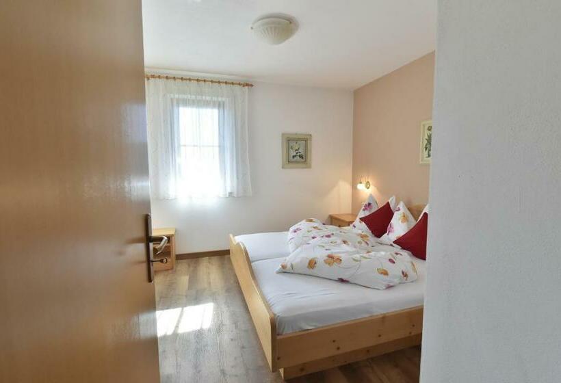 Апартаменты 1 Спальня с Балконом, Appartements Lenzenhof