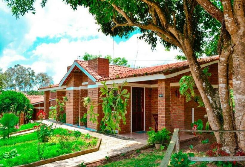 标准间, Fazenda Alvorada