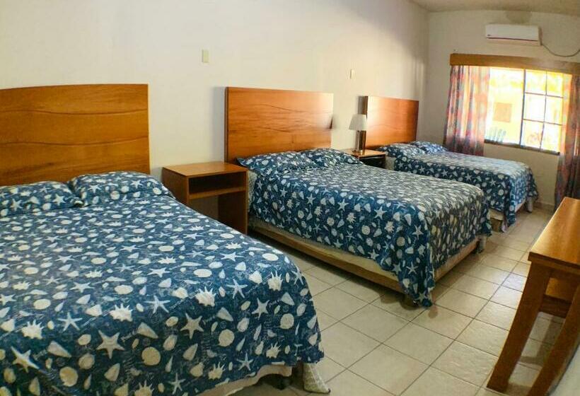 اتاق استاندارد سه نفره, Viña Del Mar Omoa