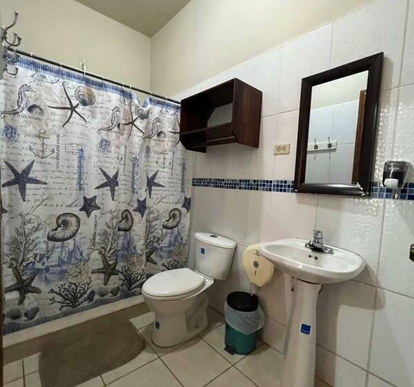 اتاق لوکس, Viña Del Mar Omoa