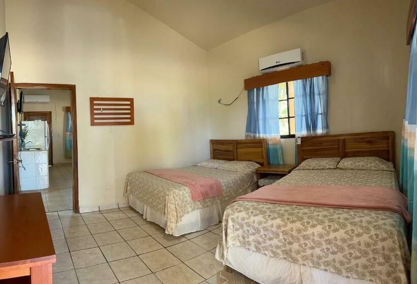 سوییت خانوادگی, Viña Del Mar Omoa