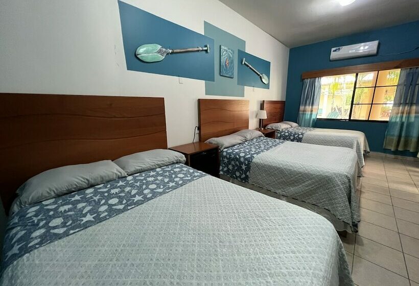 اتاق استاندارد سه نفره, Viña Del Mar Omoa