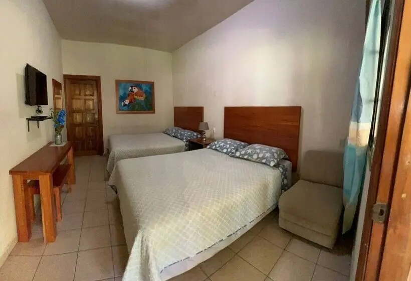 اتاق استاندارد, Viña Del Mar Omoa