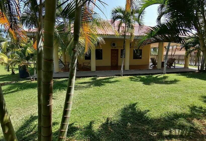 اتاق استاندارد, Viña Del Mar Omoa