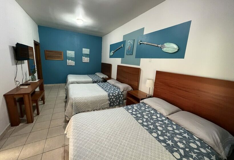 اتاق استاندارد سه نفره, Viña Del Mar Omoa