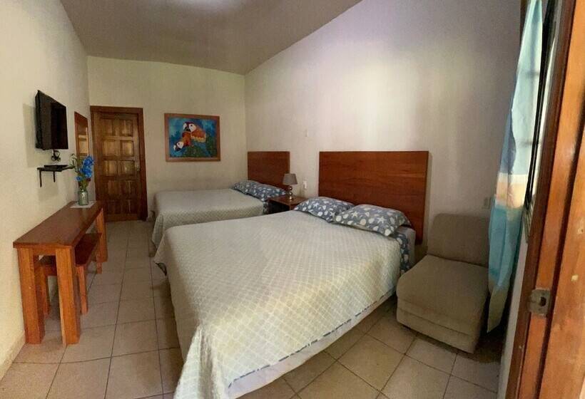 اتاق استاندارد, Viña Del Mar Omoa