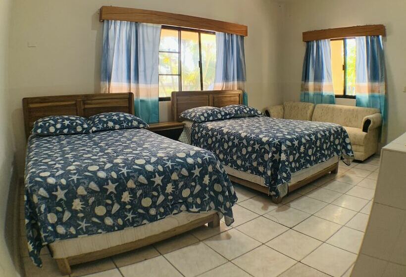 اتاق استاندارد, Viña Del Mar Omoa