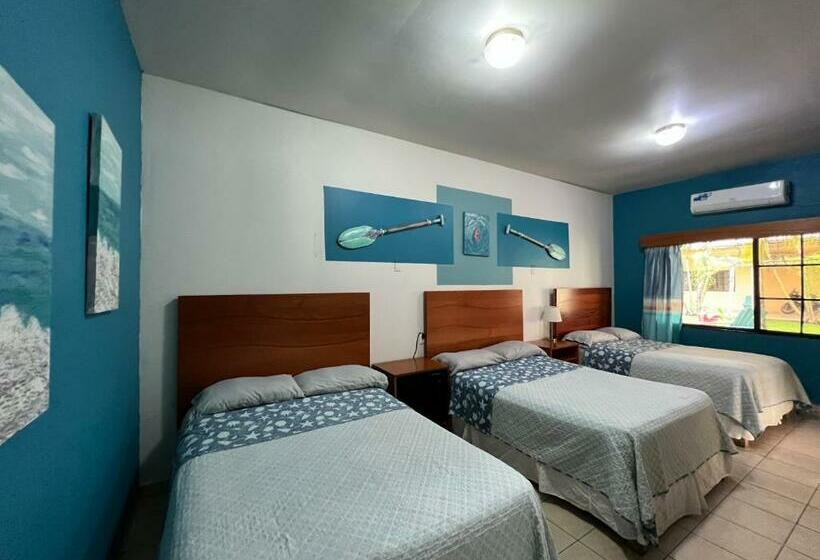 اتاق استاندارد سه نفره, Viña Del Mar Omoa