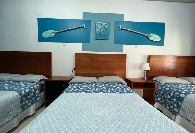 اتاق استاندارد سه نفره, Viña Del Mar Omoa