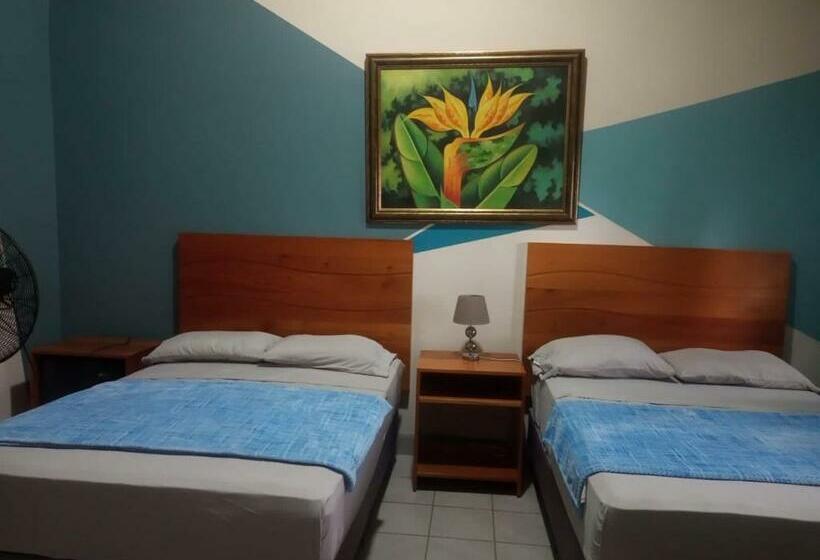 اتاق لوکس, Viña Del Mar Omoa