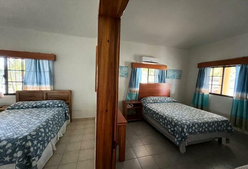 سوییت خانوادگی, Viña Del Mar Omoa