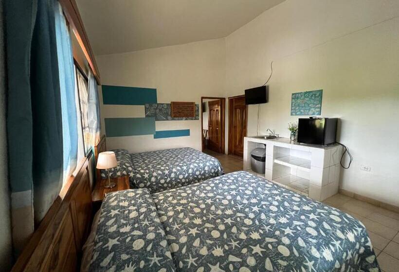 سوییت خانوادگی, Viña Del Mar Omoa