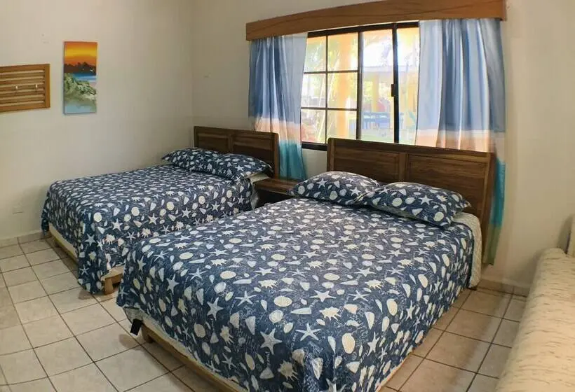 سوییت خانوادگی, Viña Del Mar Omoa