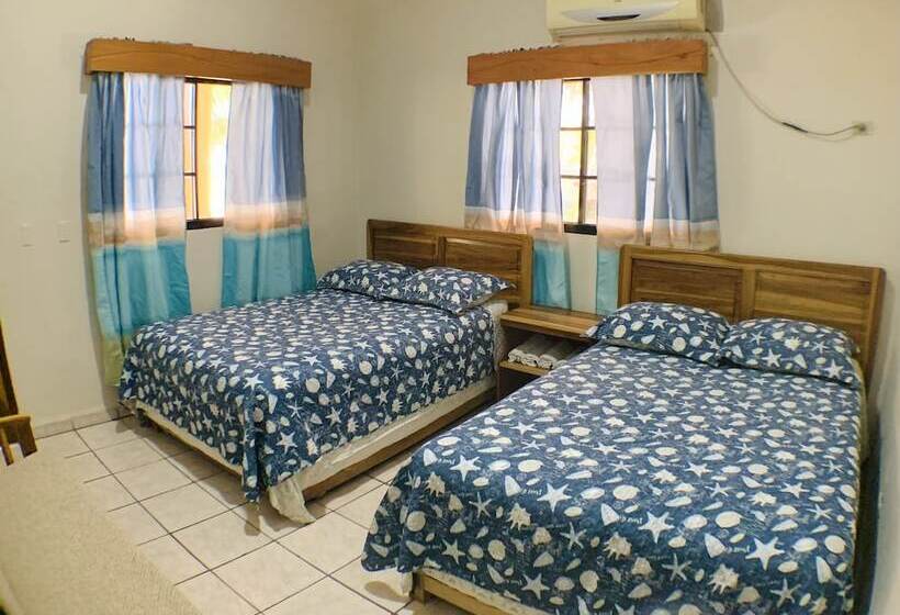 سوییت خانوادگی, Viña Del Mar Omoa